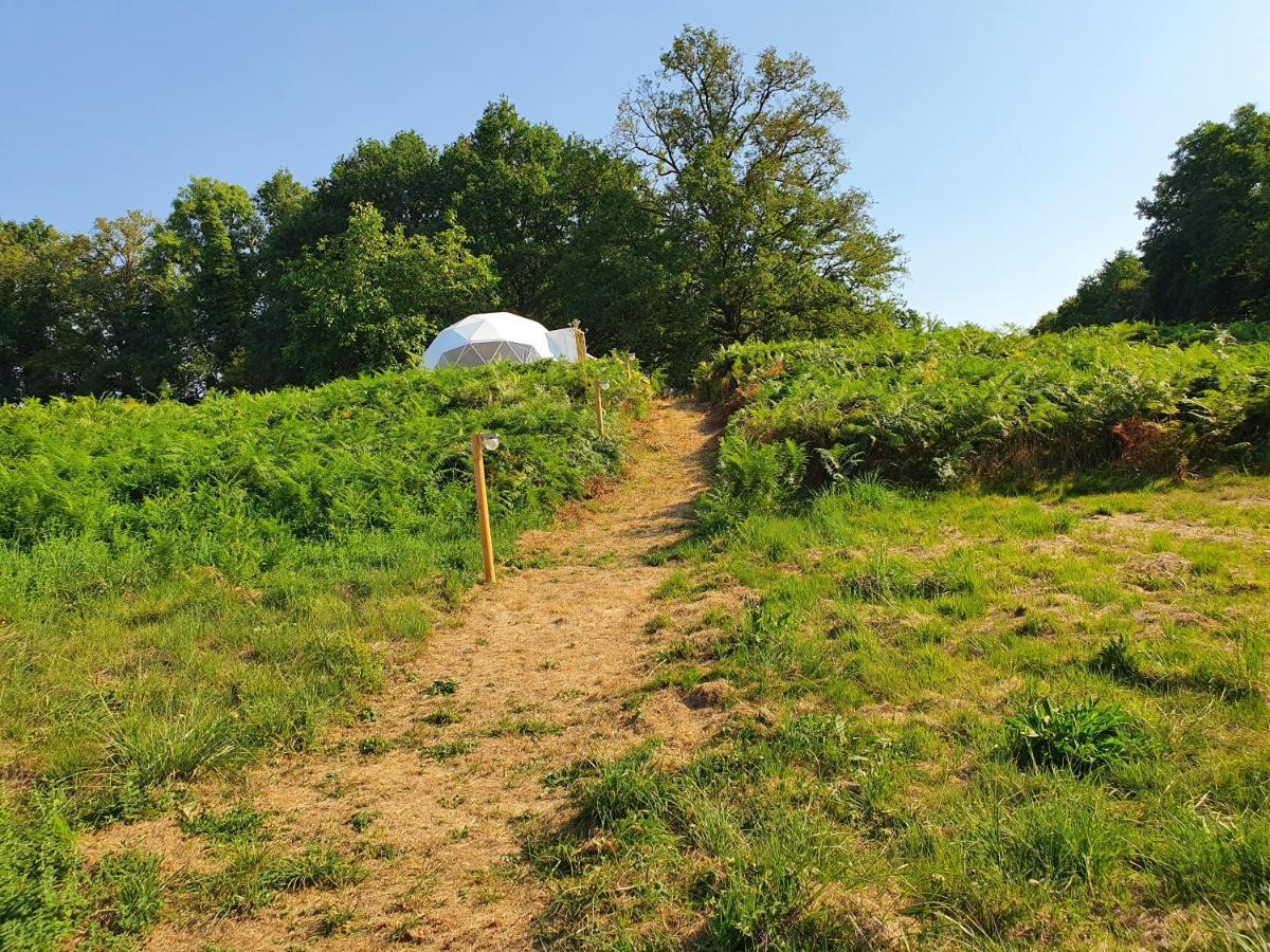 Moulin Du Pommier Glamping & Camping Saulgond Exterior foto